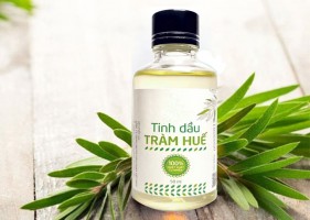 /assets/news/2019_11/huong-tram.jpg