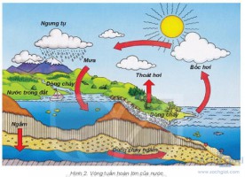 Giải bài tập Địa lí 6 sách Kết nối tri thức, bài 19: Thủy quyển và vòng tuần hoàn lớn của nước