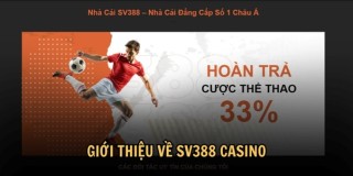 Trải nghiệm SV388 Casino: Đá gà trực tuyến và hơn thế nữa