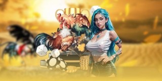 Đăng ký SV388 có an toàn không và làm sao xác minh tài khoản thành công 100%