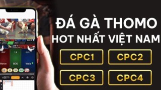 Đá gà Thomo BJ88 - Trải nghiệm kịch tính trong từng trận đấu