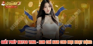Giấy Phép HAY88 VINA - Kim Chỉ Nam Cho Mọi Hoạt Động