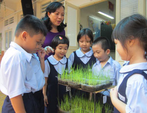 Thông qua mô hình cây lúa, nhà trường đã giới thiệu về giáo sư Lương Định Của - vị giáo sư mà ngôi trường đang mang tên ông