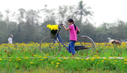 Cảm nghĩ về bài tùy bút Mùa xuân của tôi của Vũ Bằng