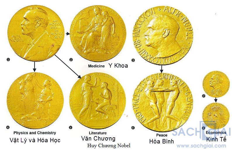 Tại sao giải thưởng Nobel trở thành giải thưởng cao quý nhất trên thế giới?