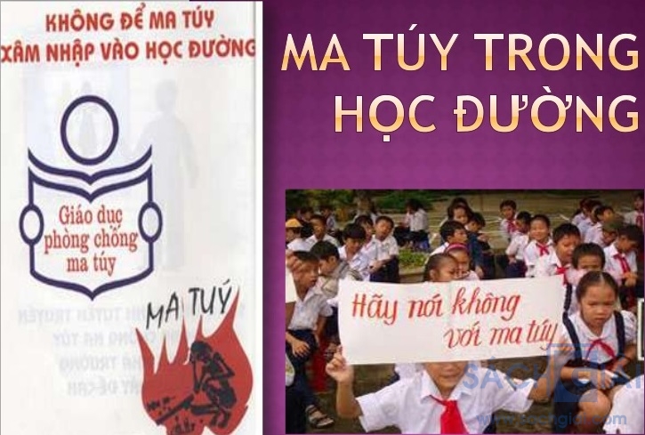 Bài dự thi: Câu chuyện tình huống đạo đức và pháp luật (Bài 4)