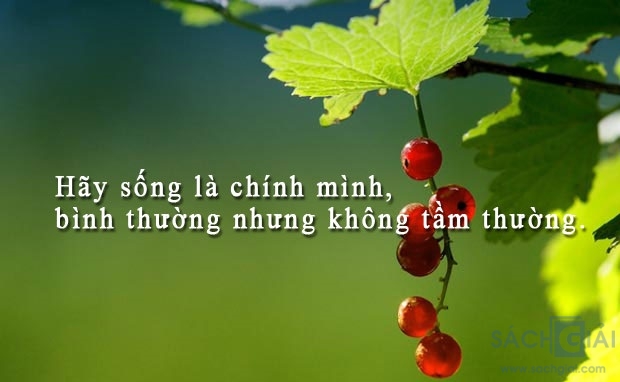 Bài dự thi: Viết thư Quốc tế UPU lần thứ 45, chủ đề: Hãy viết thư cho chính mình năm 45 tuổi