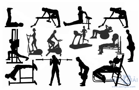 Cách luyện tập gym hiệu quả cho nữ