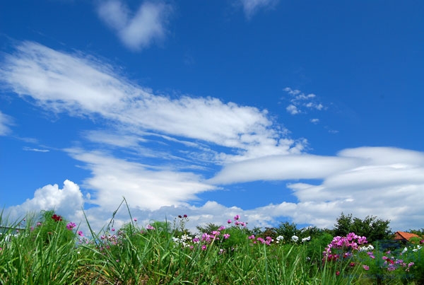 Ngày mai tươi đẹp