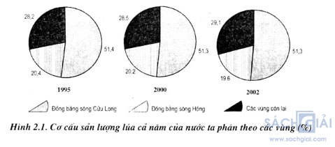 co cau san luong lua cua nuoc ta