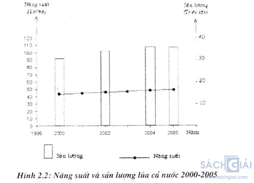 nang suat va san luong lua ca nuoc