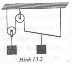 Giải bài tập SBT Vật lý lớp 6 bài 13: Máy cơ đơn giản