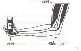 Giải bài tập SBT Vật lý lớp 6 bài 15: Đòn bẩy