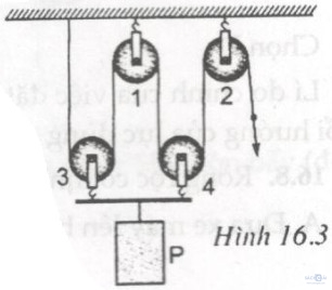 Giải bài tập SBT Vật lý lớp 6 bài 16: Ròng rọc