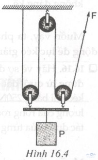 Giải bài tập SBT Vật lý lớp 6 bài 16: Ròng rọc