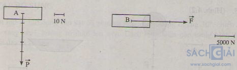 Giải bài tập Vật lý bài Biểu diễn lực