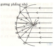 Giải bài tập SBT Vật lý lớp 7 bài 8: Gương cầu lõm