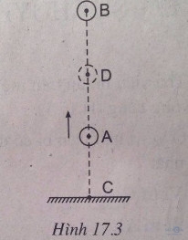 Giải bài tập SBT Vật lý lớp 8 bài 17: Sự chuyển hóa và bảo toàn cơ năng