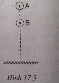 Giải bài tập SBT Vật lý lớp 8 bài 17: Sự chuyển hóa và bảo toàn cơ năng