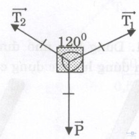 Giải bài tập SBT Vật lý lớp 8 bài 4: Biểu diễn lực