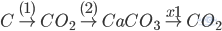 C\overset{(1)}{\rightarrow}CO_{2} \overset{(2)}{\rightarrow} CaCO_{3}\overset{x1}{\rightarrow}CO_{2}