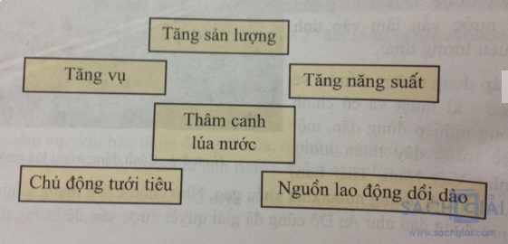 Bài 8: Các hình thức canh tác trong nông nghiệp ở đới nóng