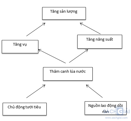 Bài 8: Các hình thức canh tác trong nông nghiệp ở đới nóng