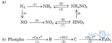 Giải bài tập hóa học lớp 11