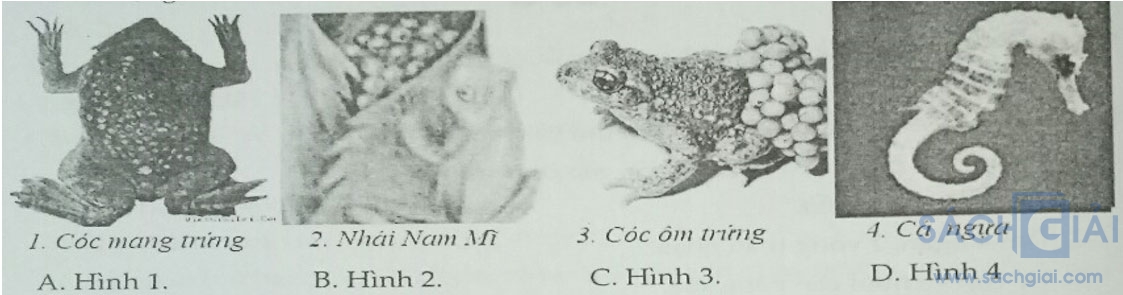 Đề kiểm tra Sinh học 7