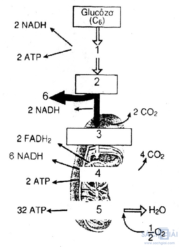 bai 2c