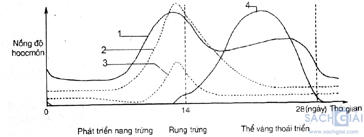 bai8b