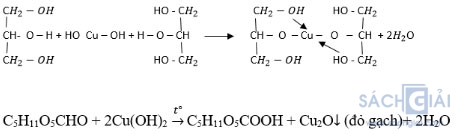 Giải bài tập Hóa học 12: Peptit và protein