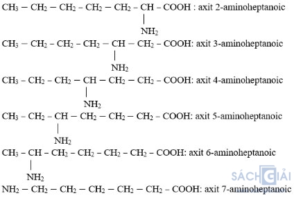 Cấu tạo và tính chất của amin, amino axit và protein