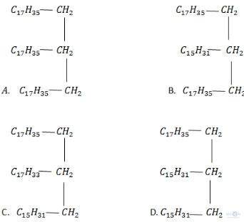 Giải bài tập Hóa học 12: Luyện tập Este và chất béo