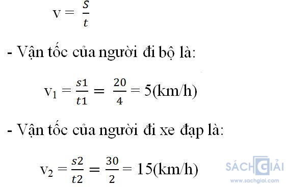 Giải bài tập SGK Toán lớp 7 bài 7: Đồ thị của hàm số y = ax (a ≠ 0)