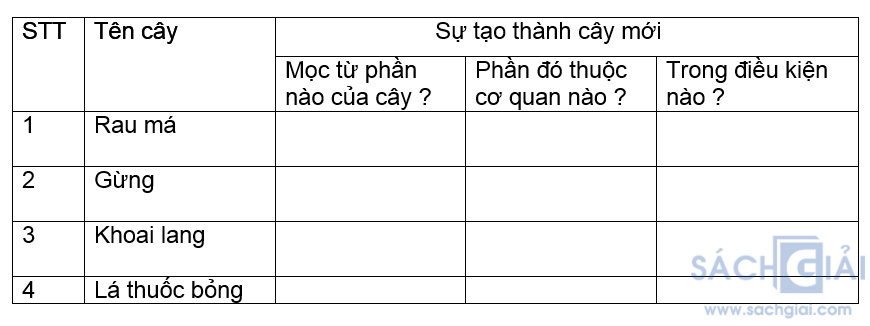 Đề kiểm tra Sinh học 6 có đáp án