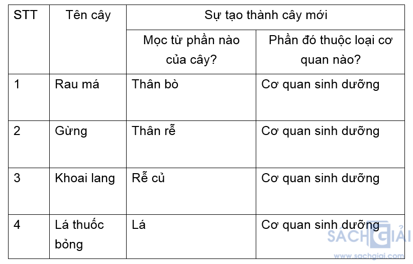 Đề kiểm tra Sinh học 6 có đáp án