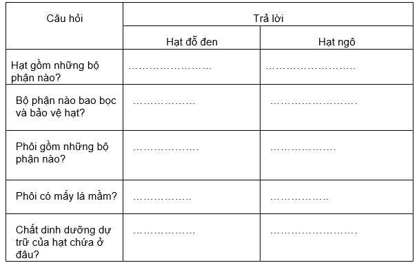 Đề kiểm tra Sinh học 6 có đáp án