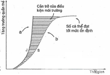 de thi thu thpt qg mon sinh de 15 cau 35