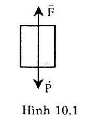 giai bai tap vat ly 10 bai 11 cau 14