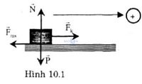 giai bai tap vat ly 10 bai 11 cau c6