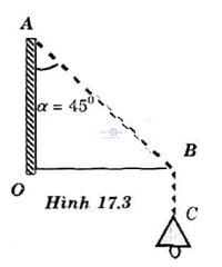 giai bai tap vat ly 10 bai 17 cau b3