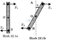 giai bai tap vat ly 10 bai 22 cau b1