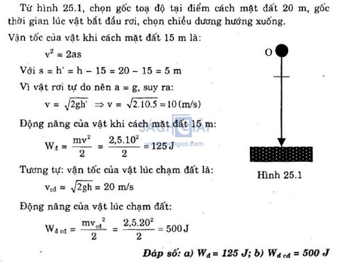 giai bai tap vat ly 10 bai 25 cau c5