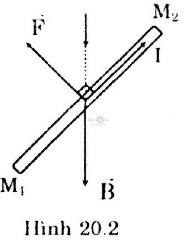 giai-vat-ly-lop-11-bai-20-cau-c2