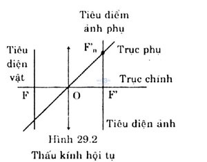 Giai vat ly lop 11 bai 29.2