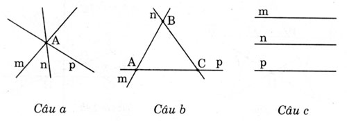 giai sbt toan 6 phan hinh hoc bai 1 cau 17