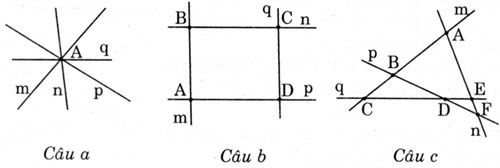 giai sbt toan 6 phan hinh hoc bai 1 cau 14