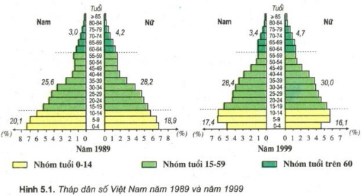 thap dan so viet nam nam 1989 - 1999