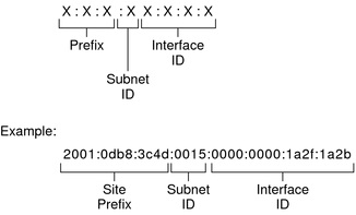 thanh phan ipv6